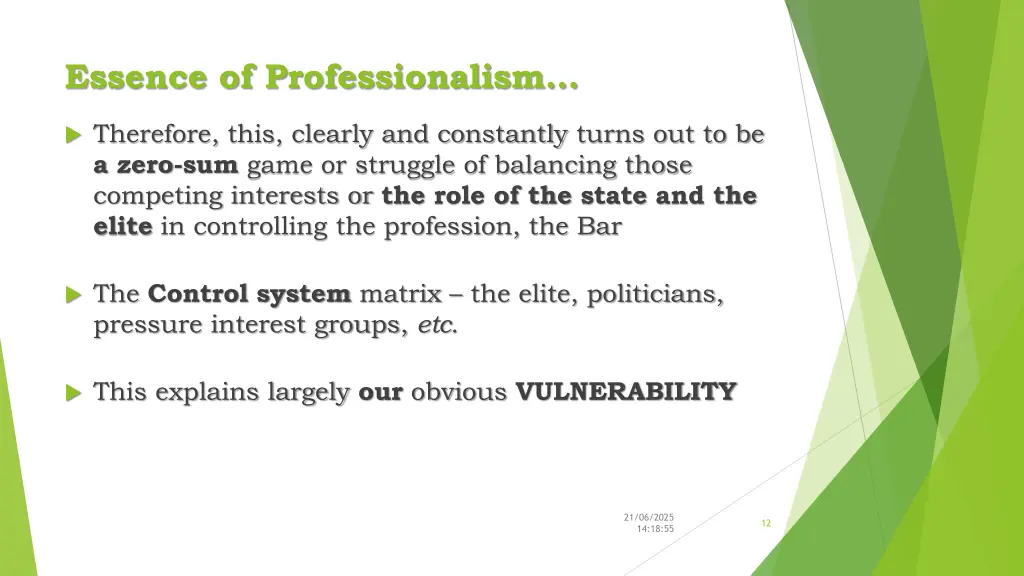essence of professionalism