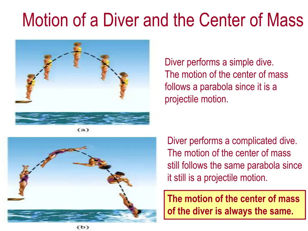 motion of a diver and the center of mass