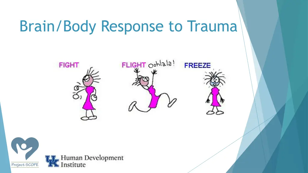 brain body response to trauma