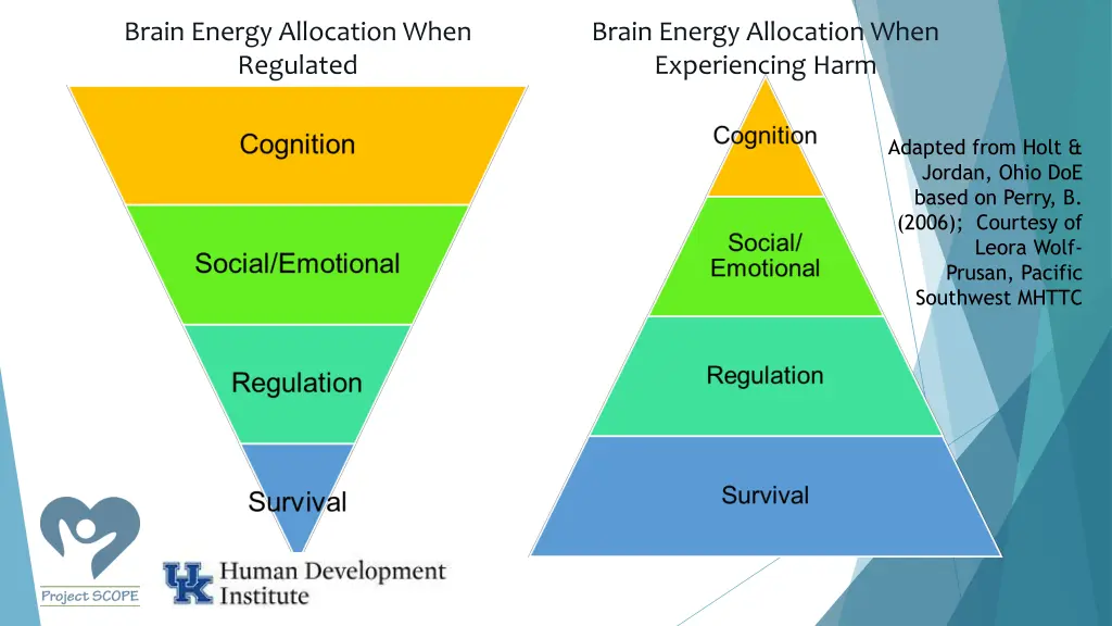 brain energy allocation when regulated