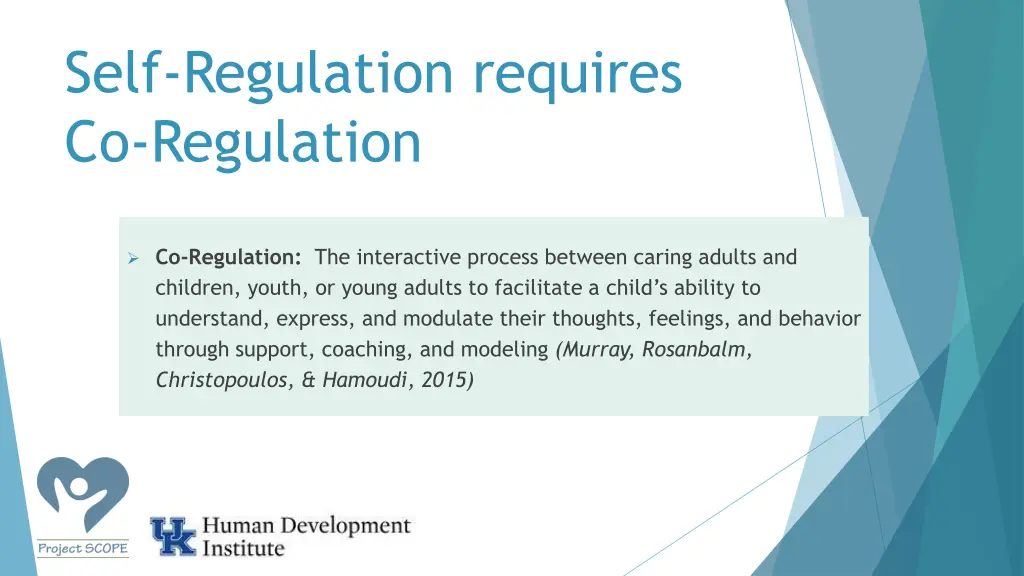 self regulation requires co regulation
