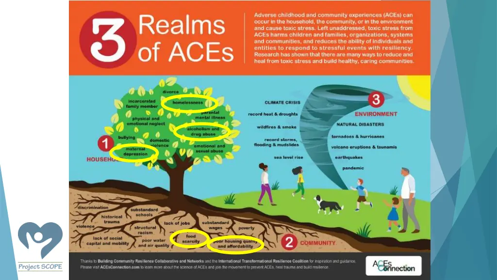 slide14
