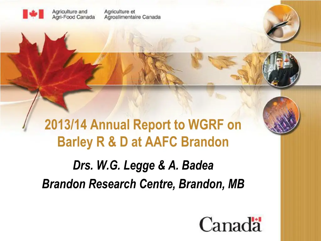 2013 14 annual report to wgrf on barley