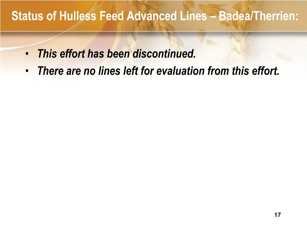 status of hulless feed advanced lines badea