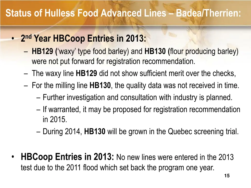 status of hulless food advanced lines badea 1