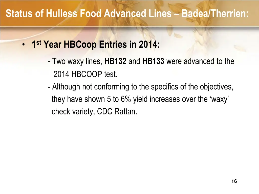 status of hulless food advanced lines badea 2