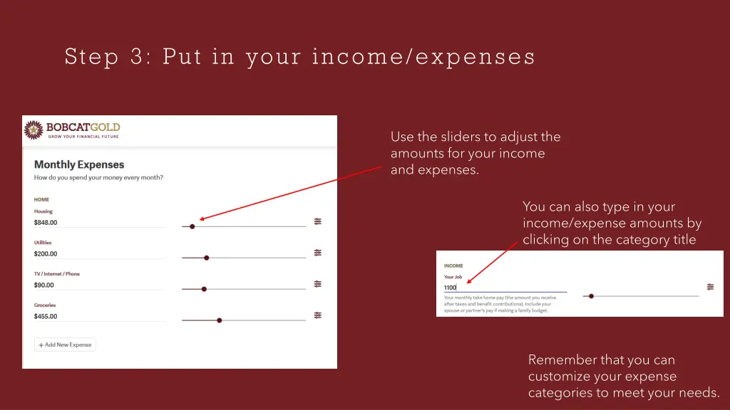 step 3 put in your income expenses