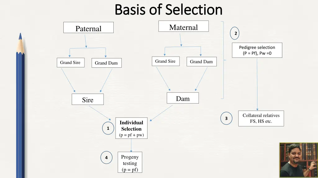 basis of selection basis of selection