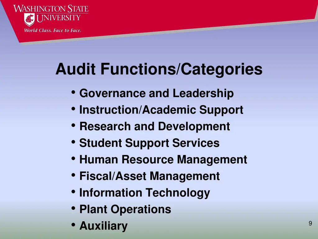 audit functions categories governance