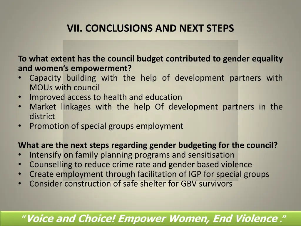 vii conclusions and next steps