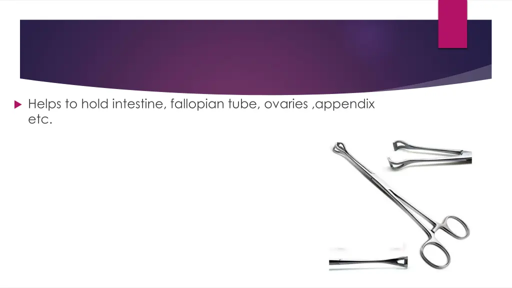helps to hold intestine fallopian tube ovaries