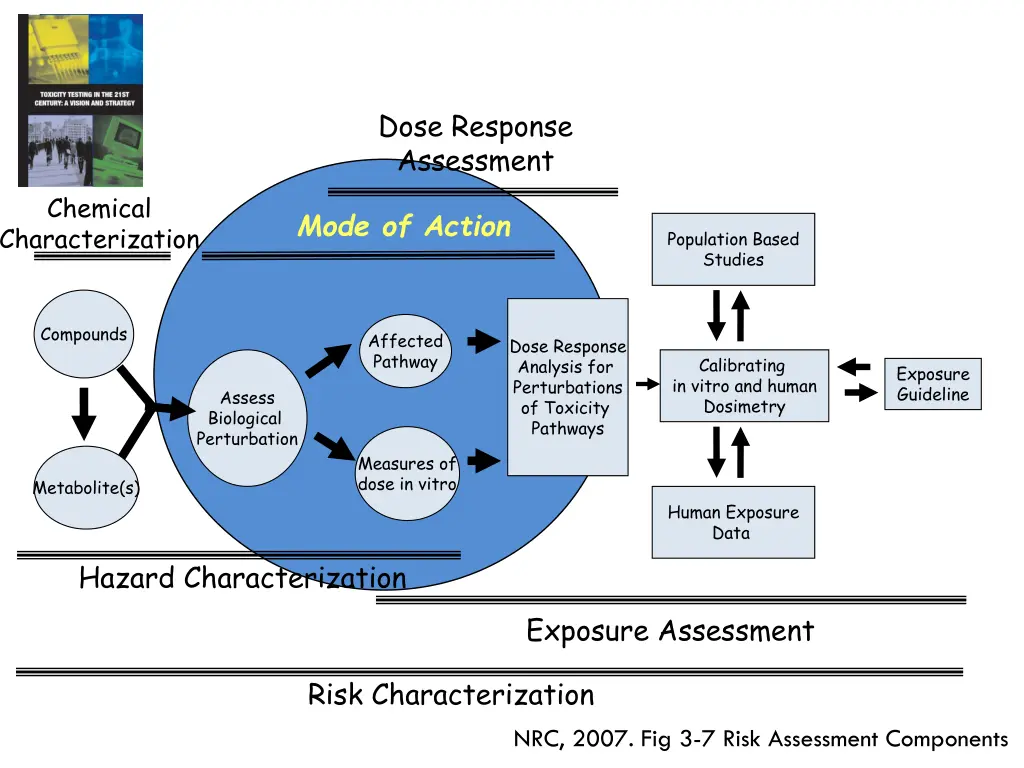 2007 nrc toxicity testing in the 21 st century