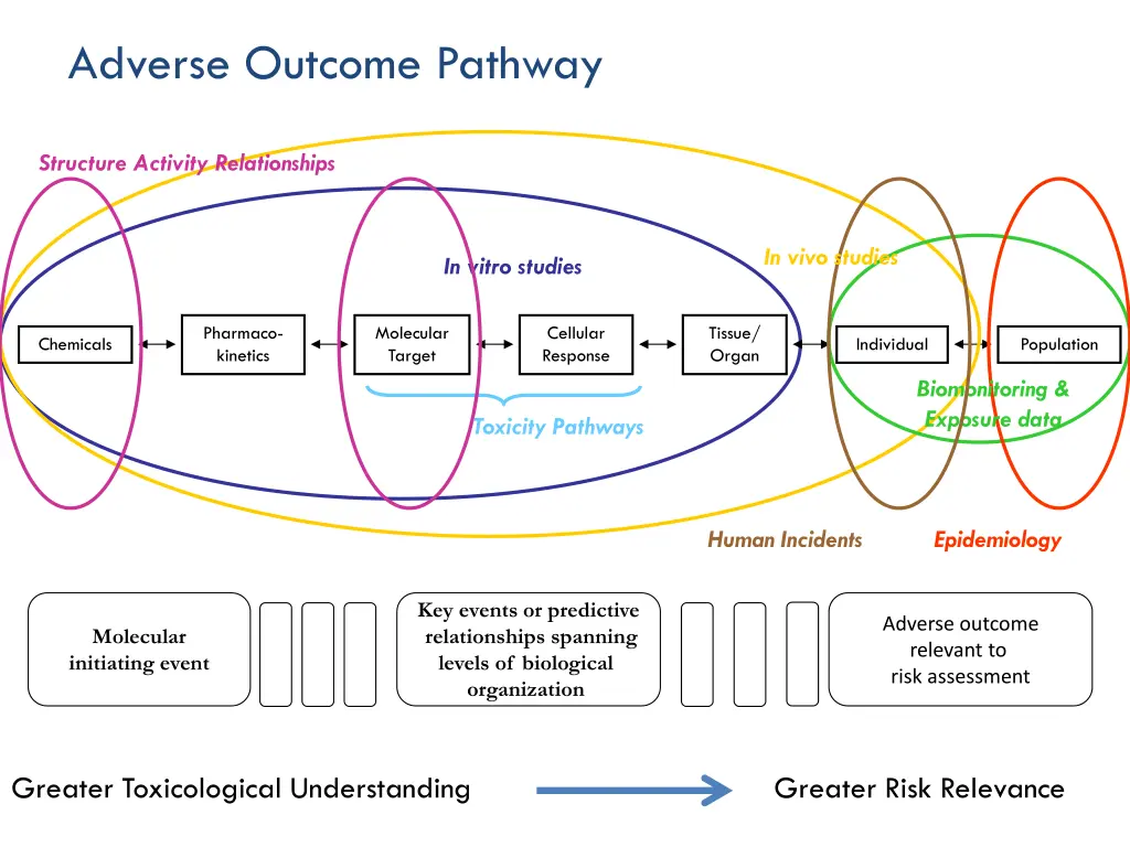 adverse outcome pathway