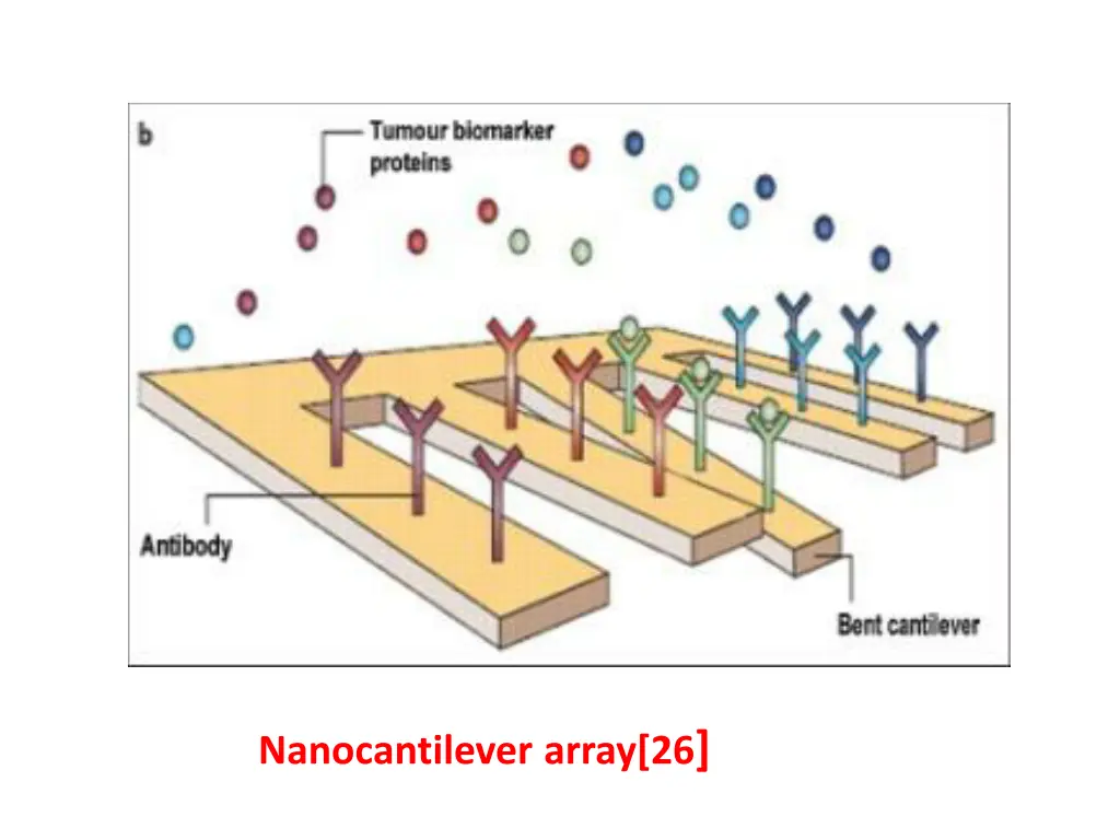 nanocantilever array 26