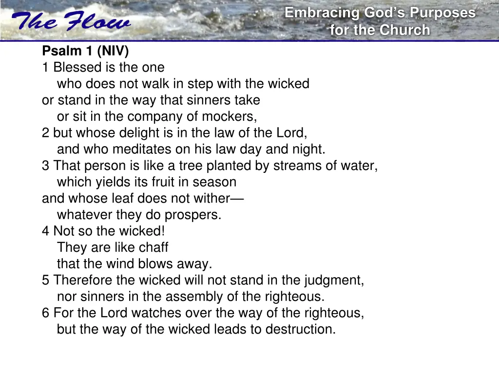 embracing god s purposes for the church 11