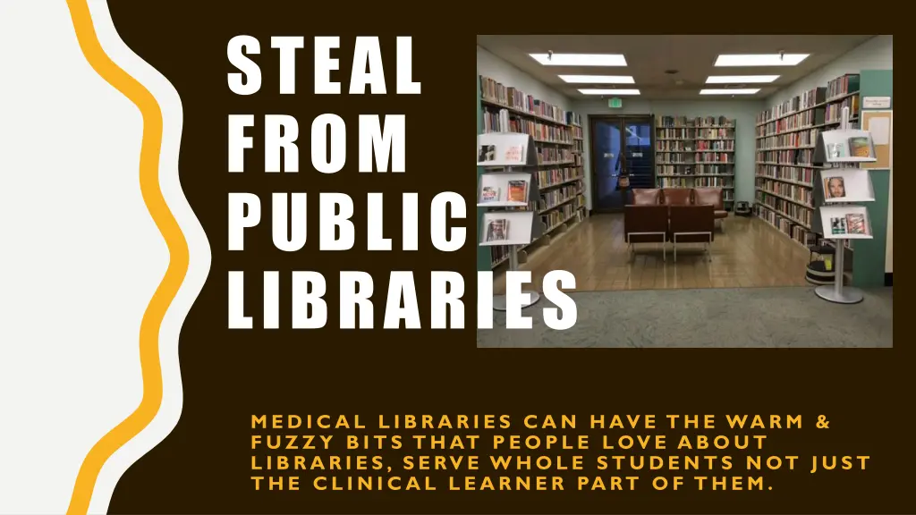 steal from public libraries