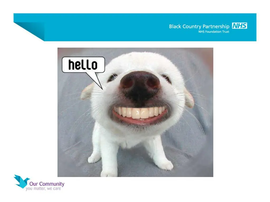 slide2