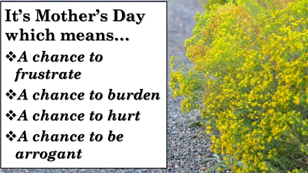 it s mother s day which means a chance