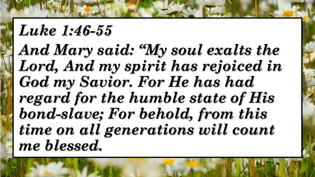 luke 1 46 55 and mary said my soul exalts