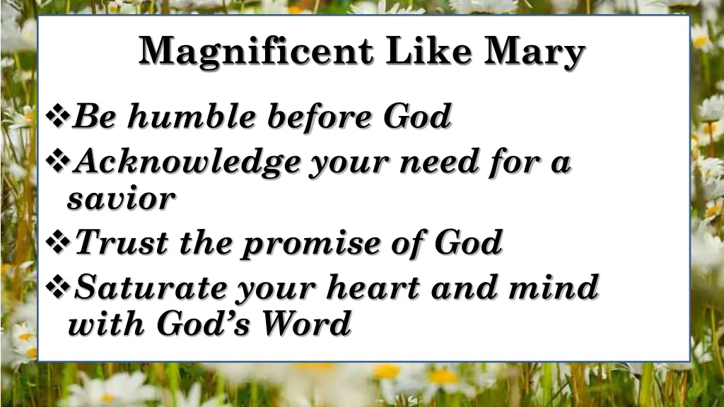 magnificent like mary