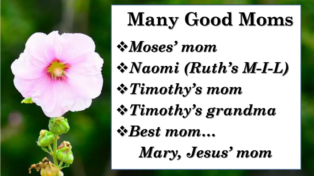 many good moms