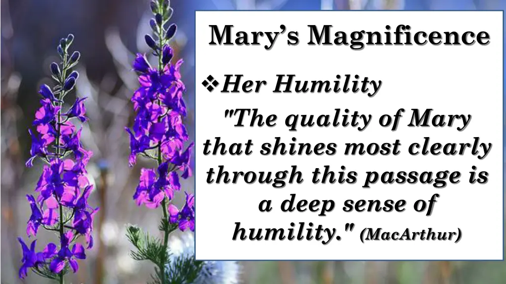 mary s magnificence