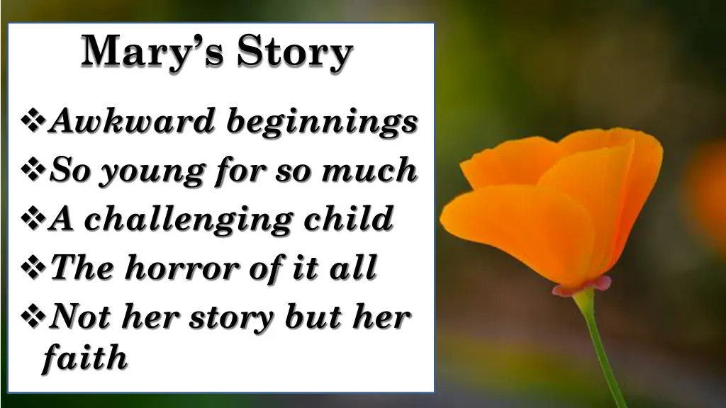 mary s story
