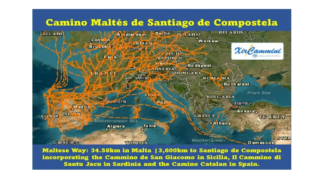 slide11