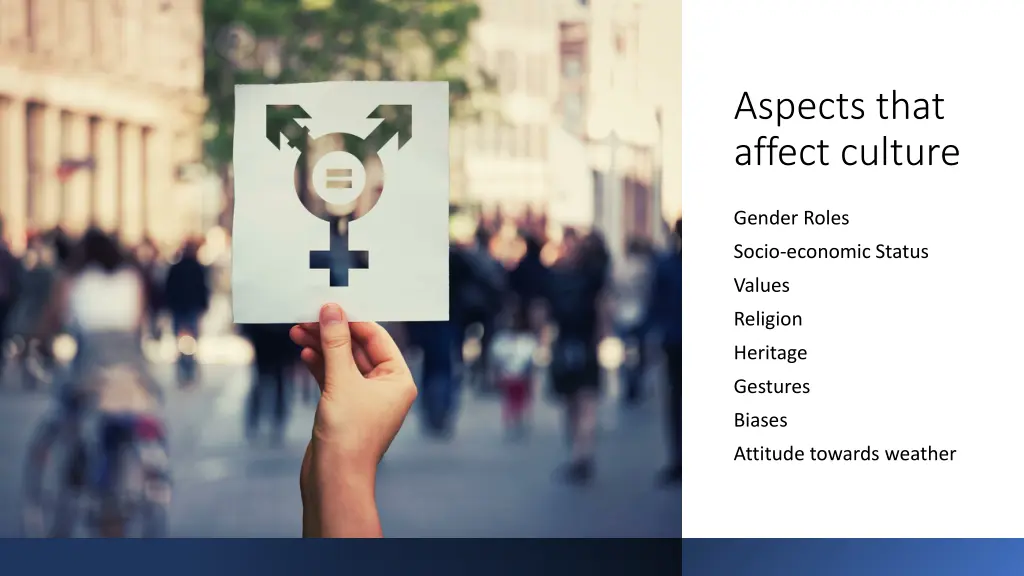 aspects that affect culture