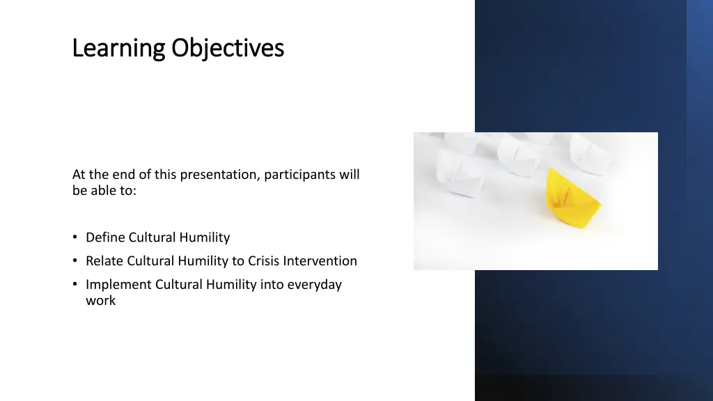 learning objectives learning objectives