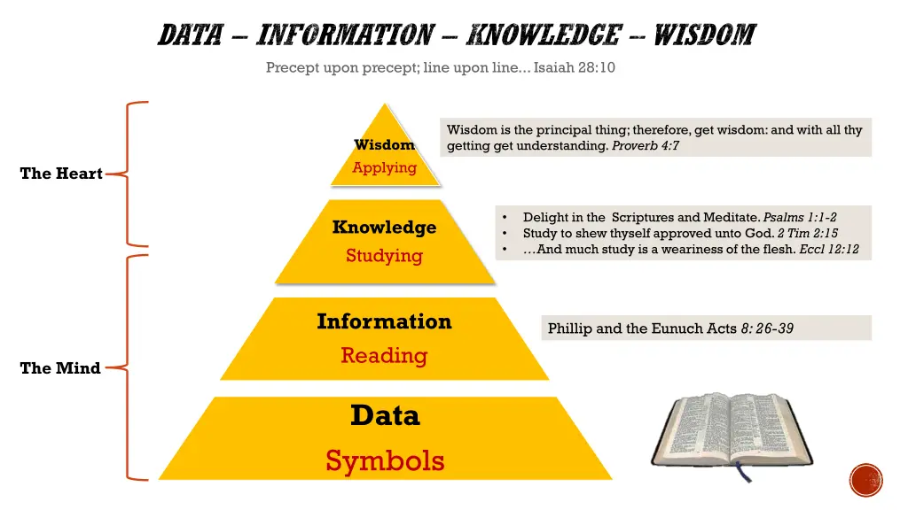 data information knowledge wisdom precept upon