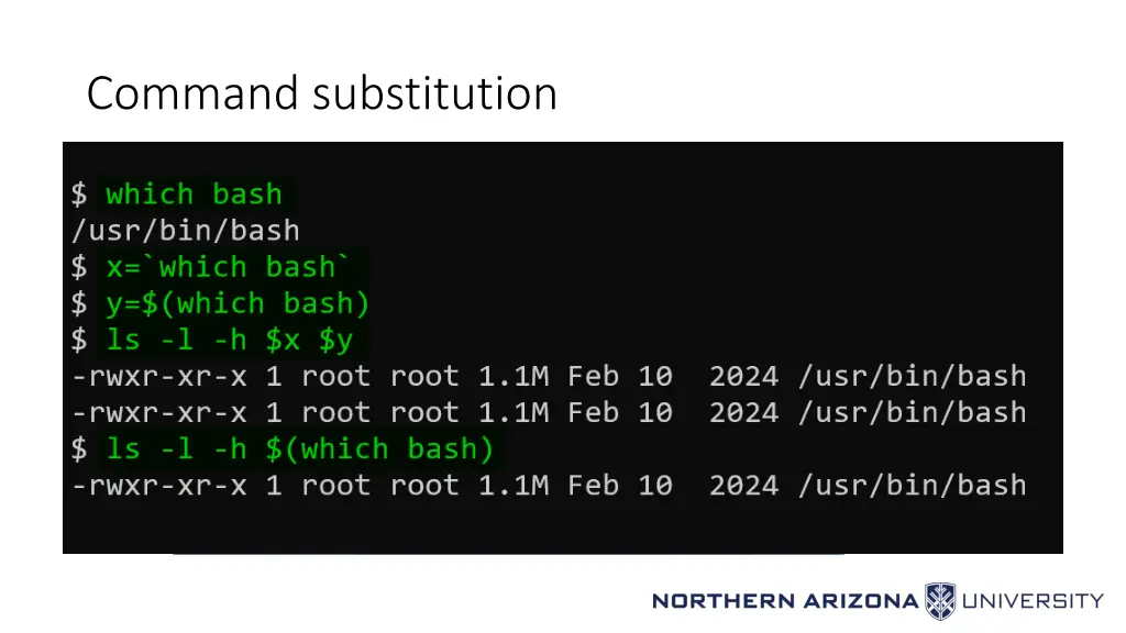 command substitution