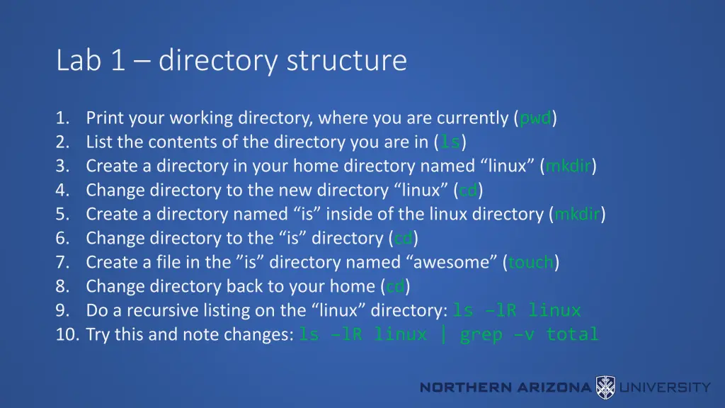 lab 1 directory structure