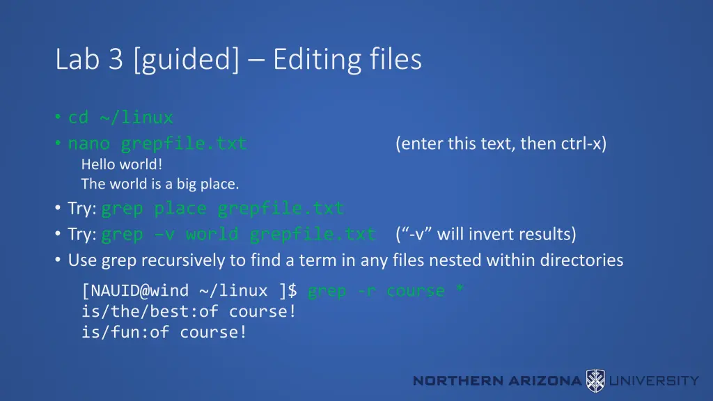 lab 3 guided editing files