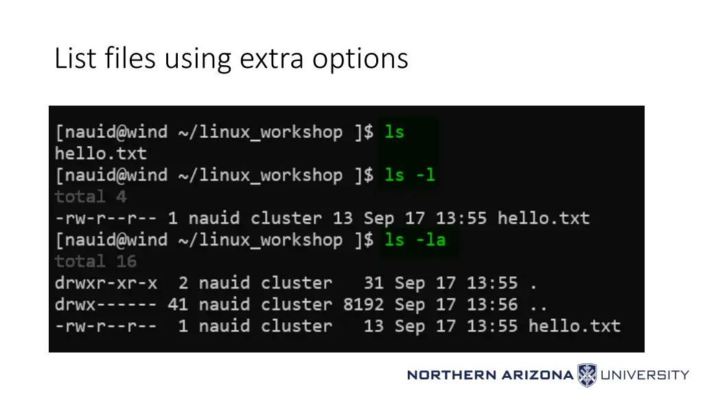 list files using extra options