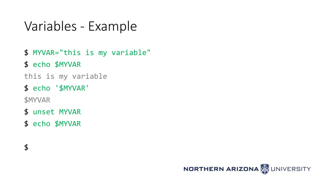 variables example
