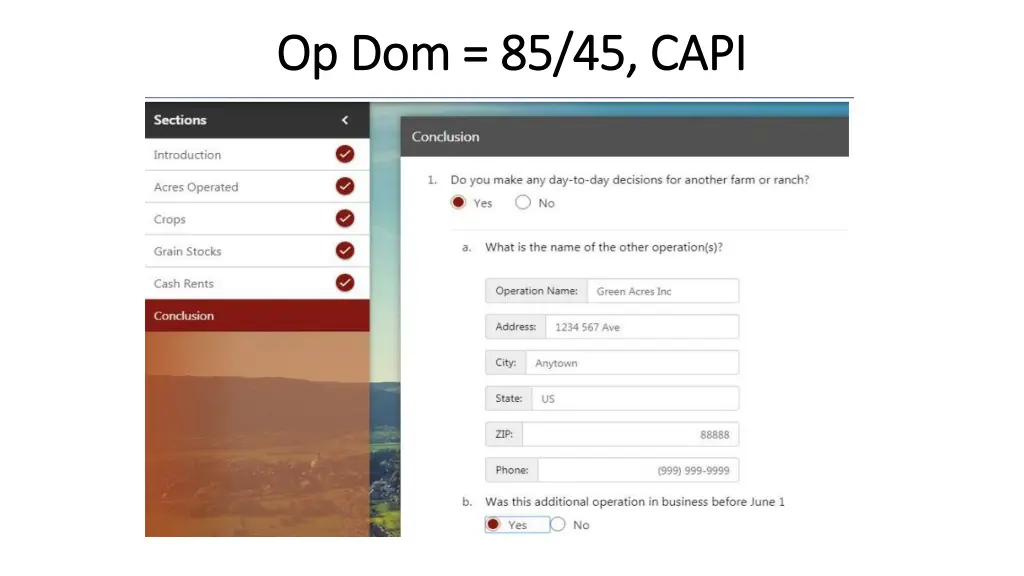 op dom 85 45 capi op dom 85 45 capi