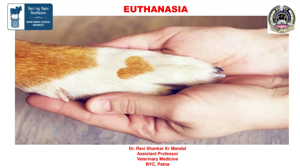 euthanasia