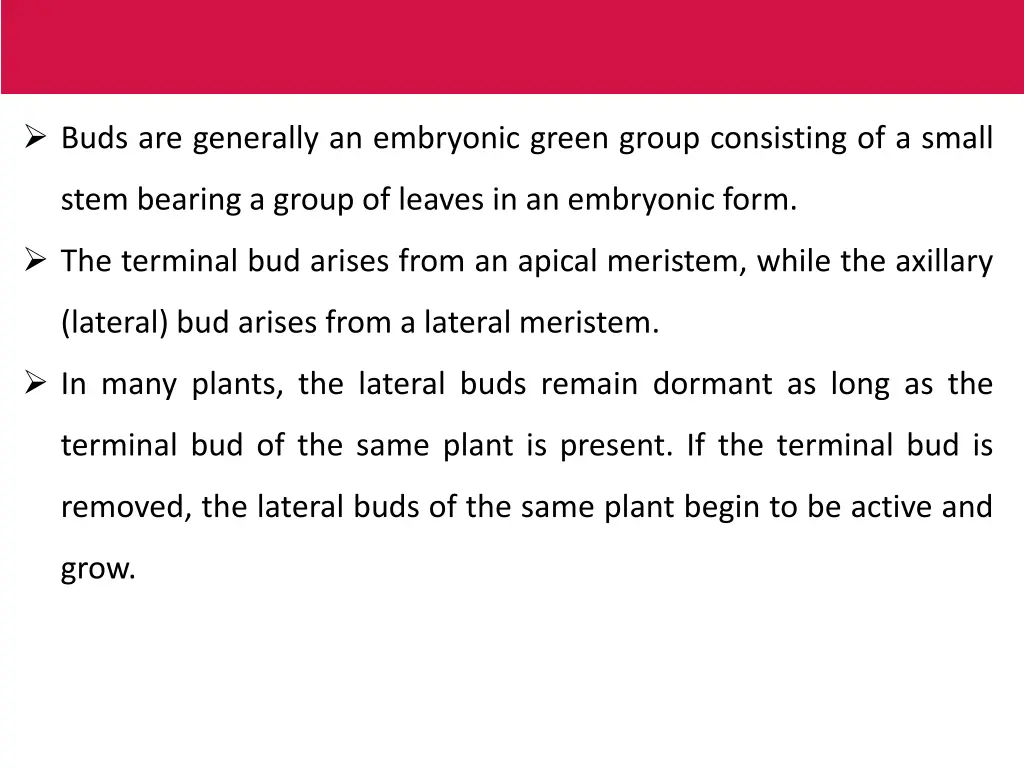 buds are generally an embryonic green group