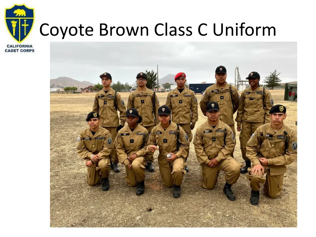 coyote brown class c uniform 2