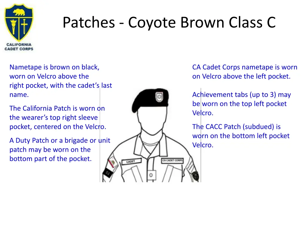 patches coyote brown class c