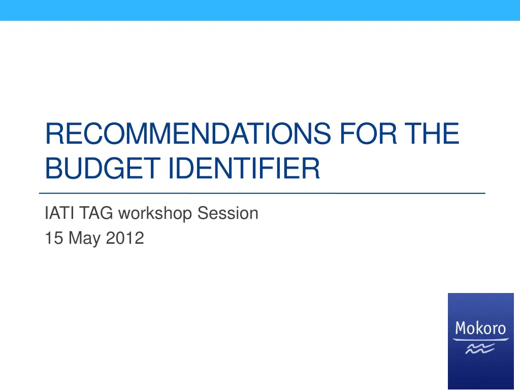 recommendations for the budget identifier