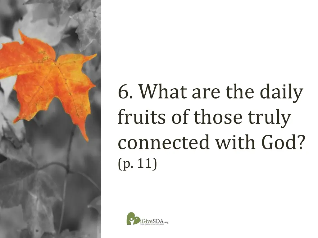 6 what are the daily fruits of those truly