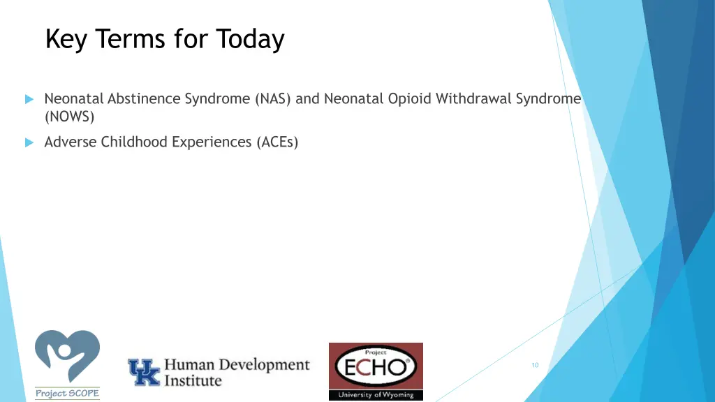 key terms for today