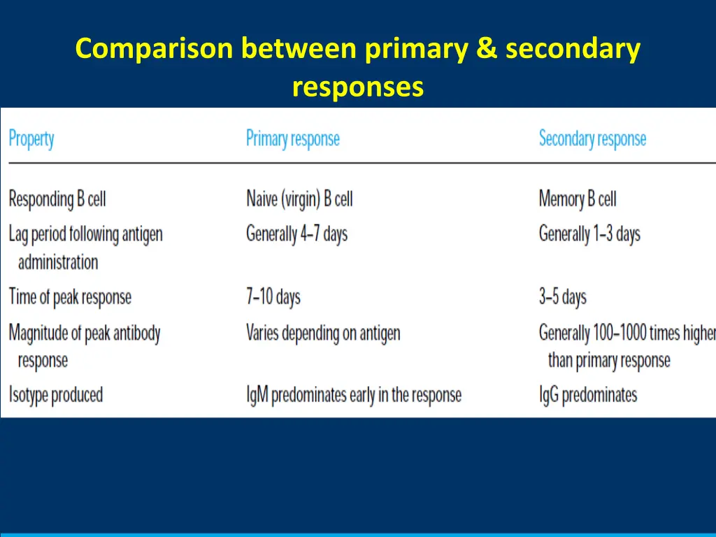 comparison between primary secondary responses
