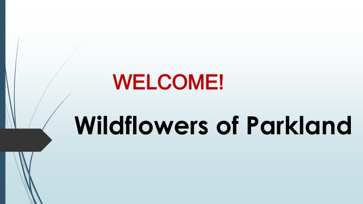 welcome welcome