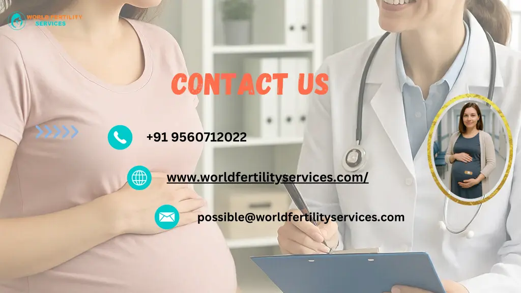 contact us