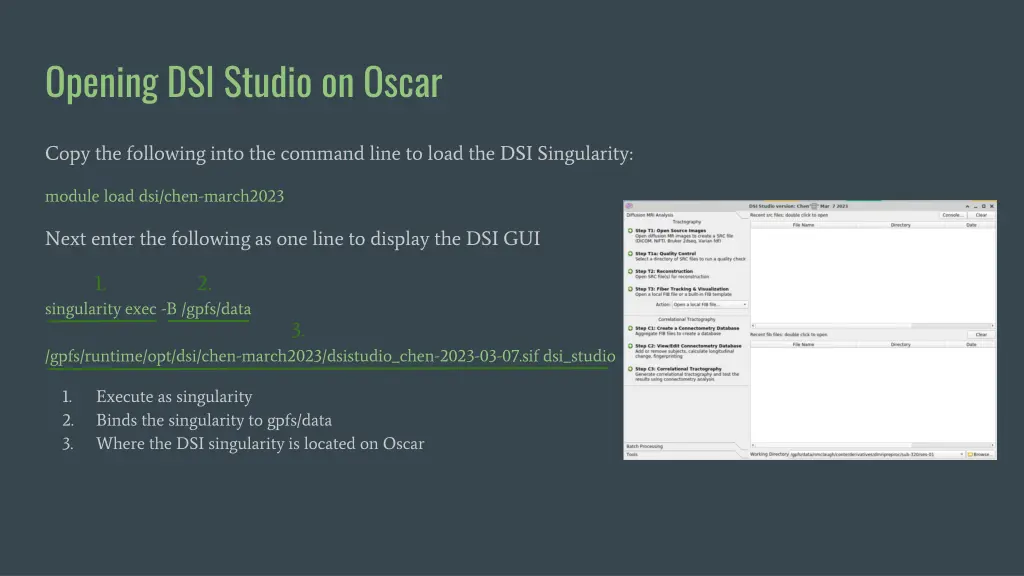 opening dsi studio on oscar