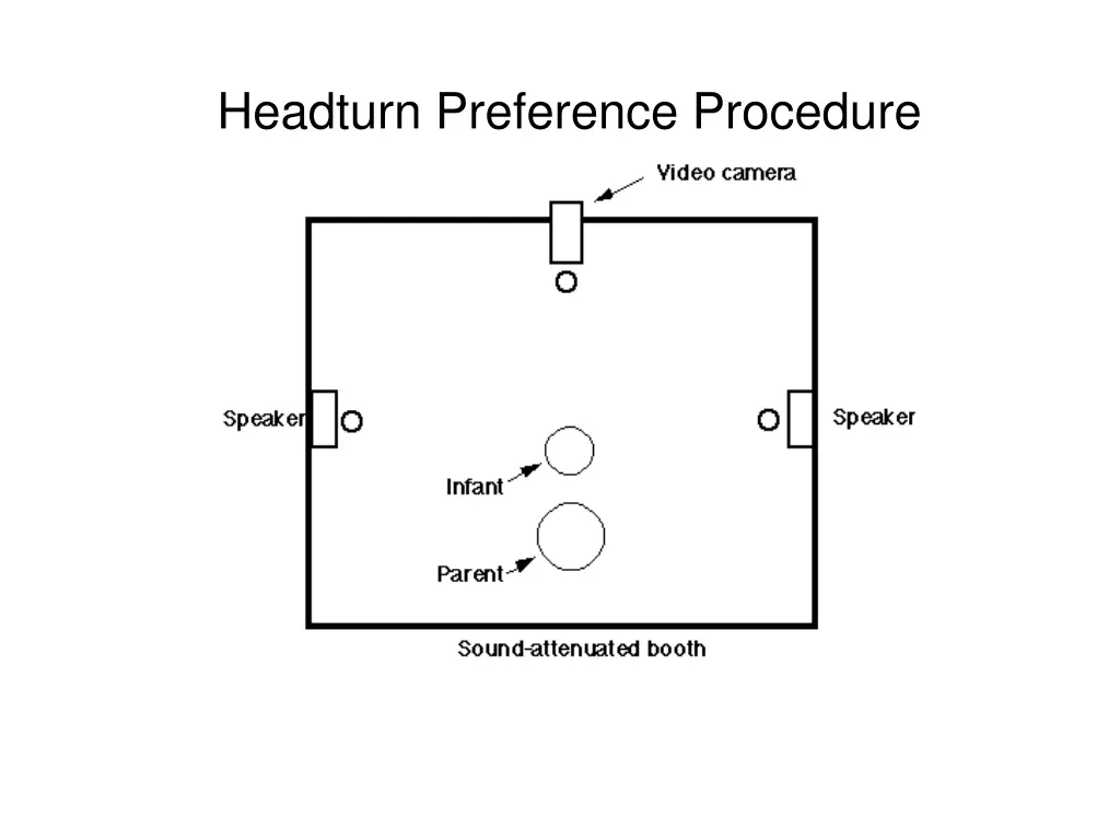 headturn preference procedure