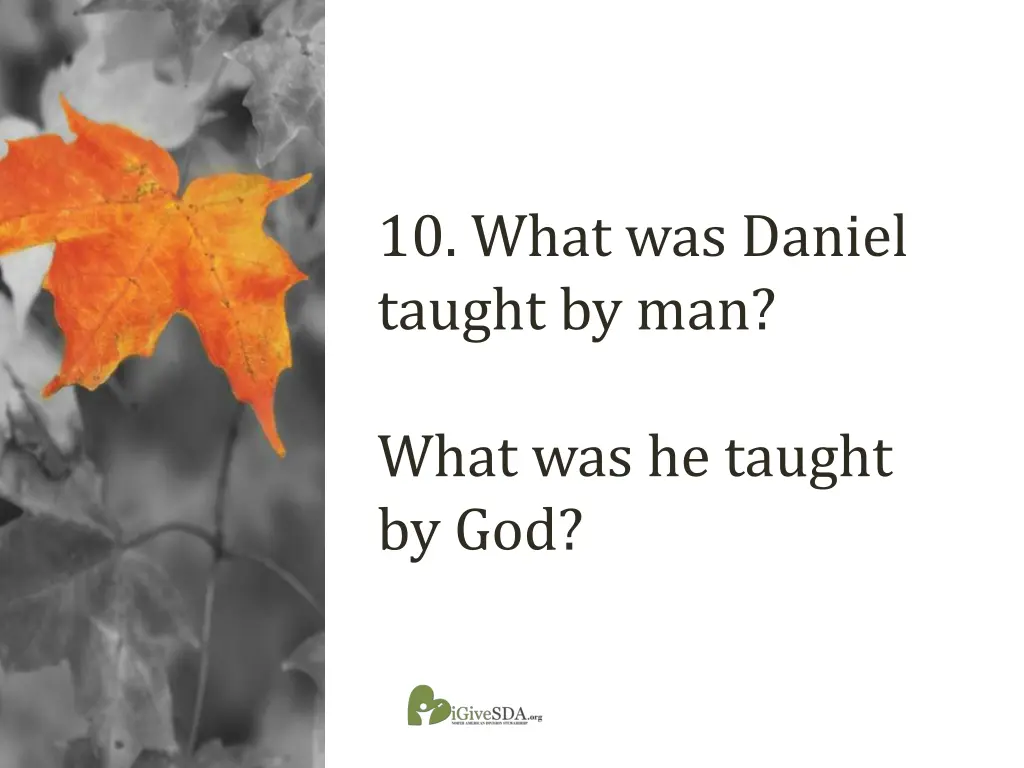 10 what was daniel taught by man